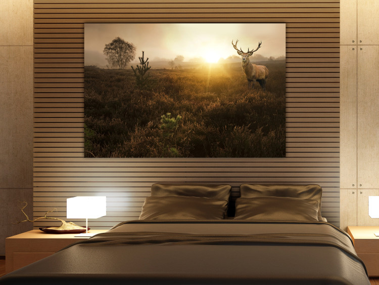 Canvas Foggy Field 106100 additionalImage 3