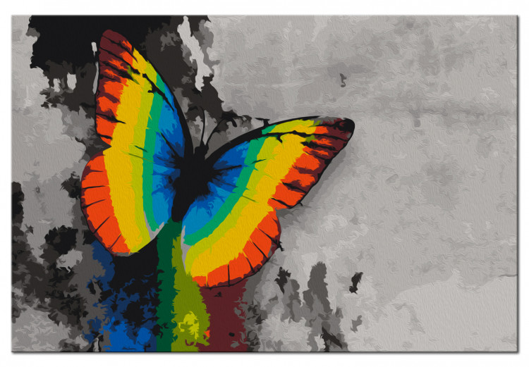Obraz do malowania po numerach Kolorowy motyl 108000 additionalImage 6