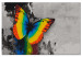Cuadro numerado para pintar Colourful Butterfly 108000 additionalThumb 6