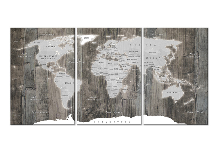 Obraz na płótnie Mapa świata: Drewniany świat (3-częściowy)