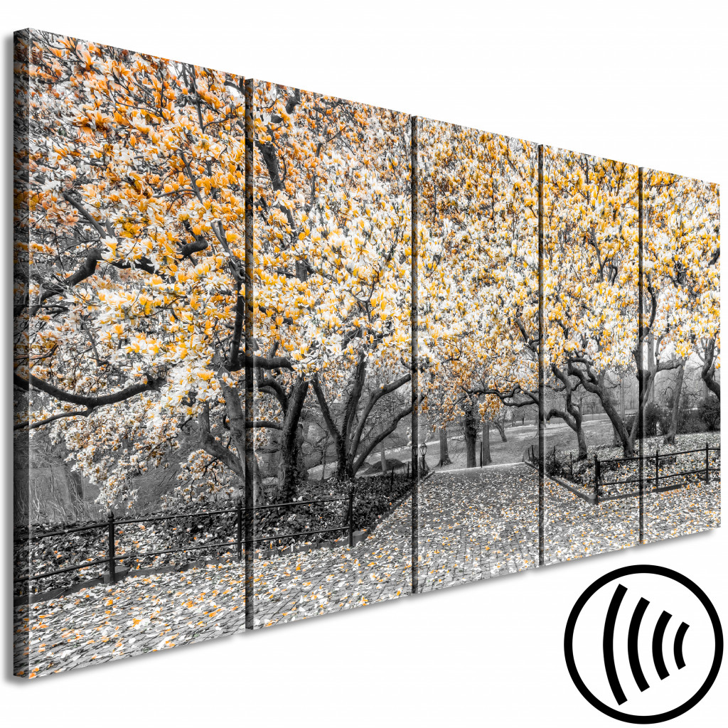 Obraz Kwitnące Drzewa Magnolii - Czarno-biała Fotografia Z żółtymi Akcentami