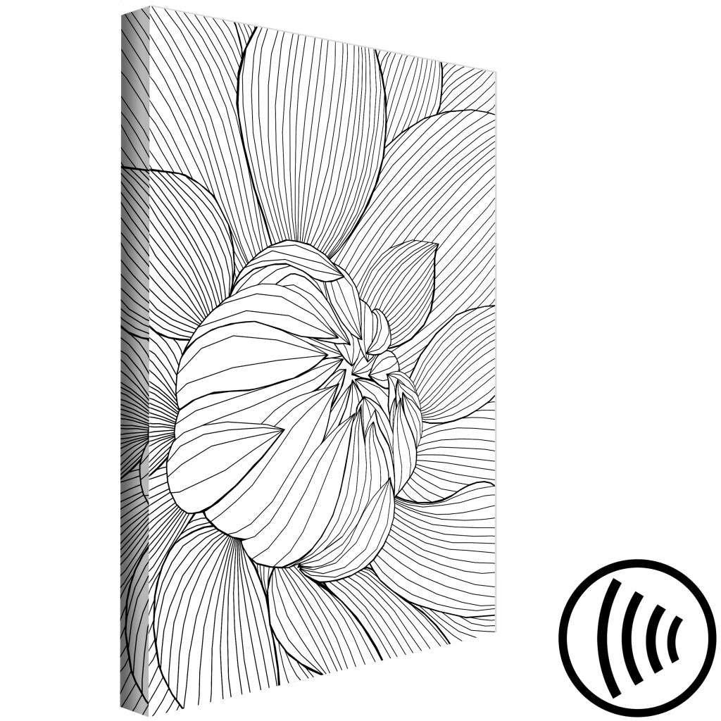 Obraz Pąk Kwiatu Piwonii - Czarno-białe Kontury Rośliny W Stylu Line Art