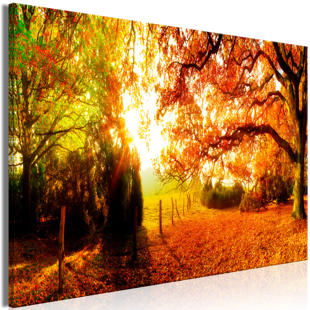 Enchanting Autumn [Large Format]