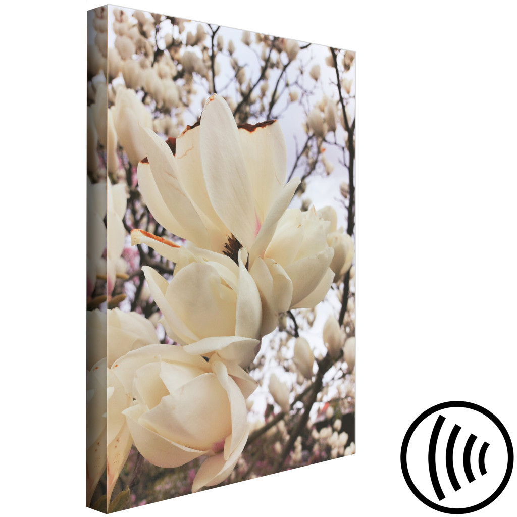 Schilderij  Bloemen: Golden Magnolias (1 Part) Vertical