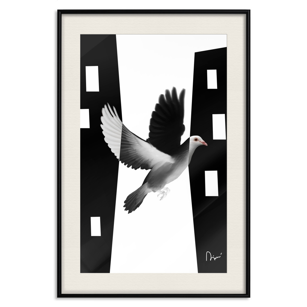 Posters: White Dove [Poster]