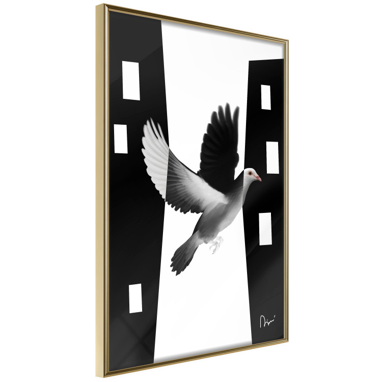 Wall Poster White Dove [Poster] 149100 additionalImage 7
