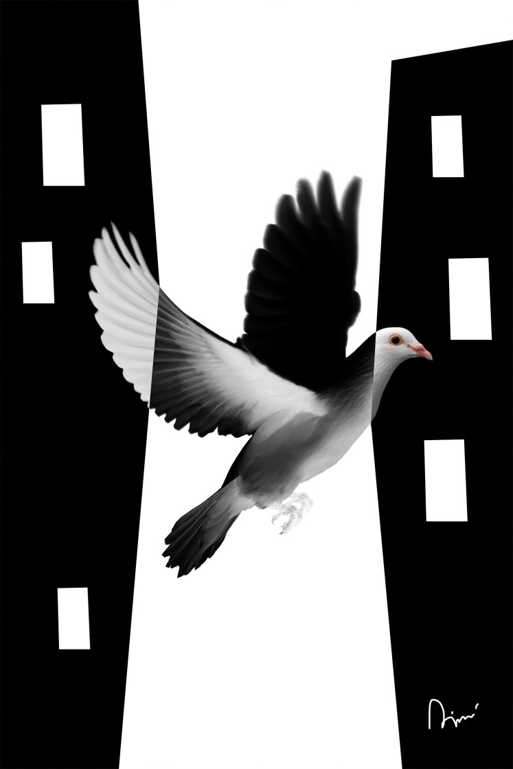 Wall Poster White Dove [Poster] 149100