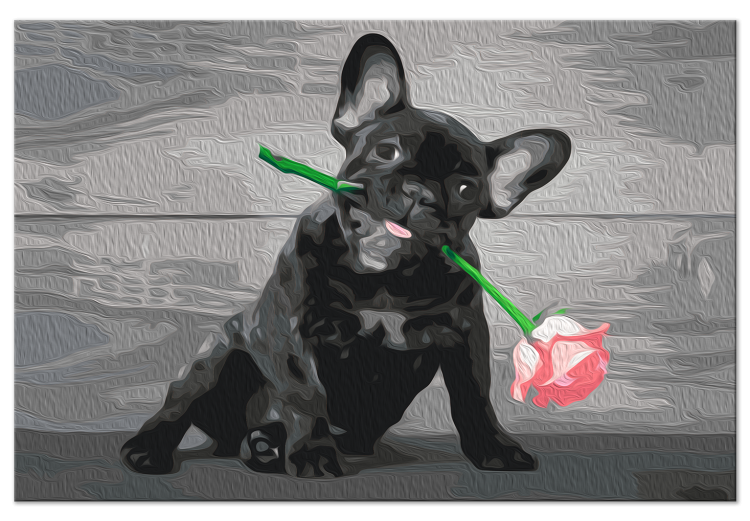 Paint by number Doggy in Love - Cute French Bulldog With a Rose in Its Mouth 149800 additionalImage 4