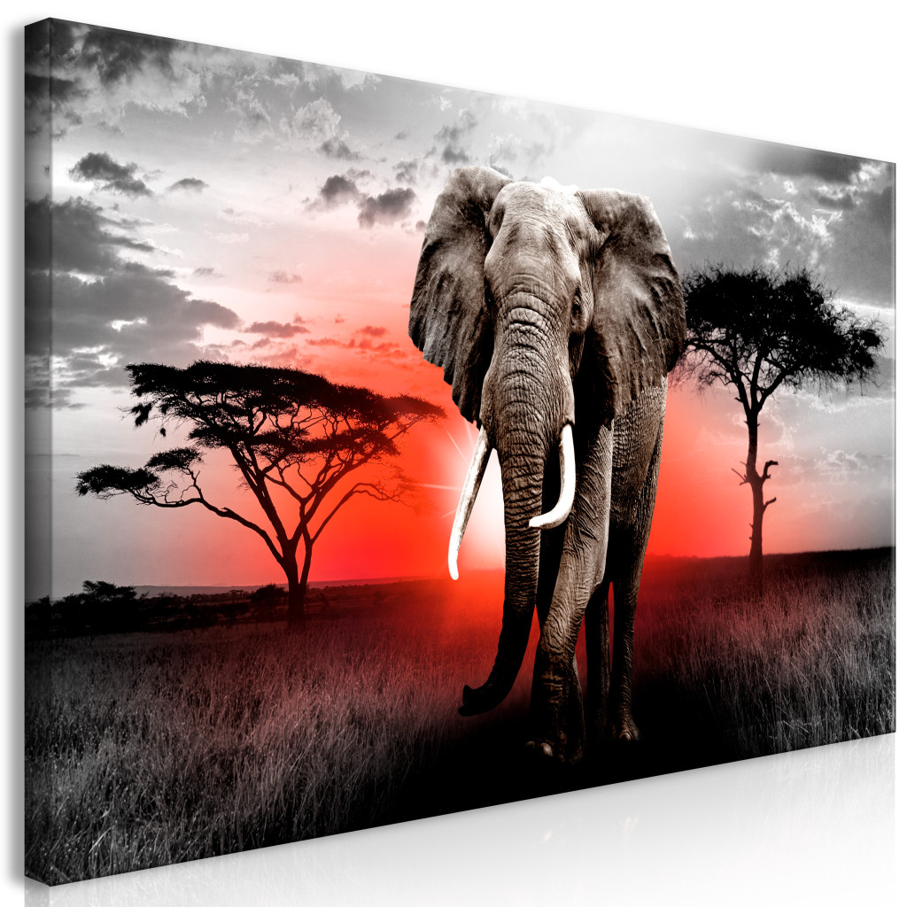 Schilderij Elephant Against The Setting Sun II [Large Format]