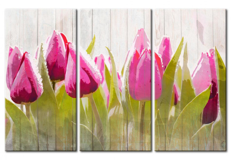 Cadre déco Spring bouquet of tulips 50200