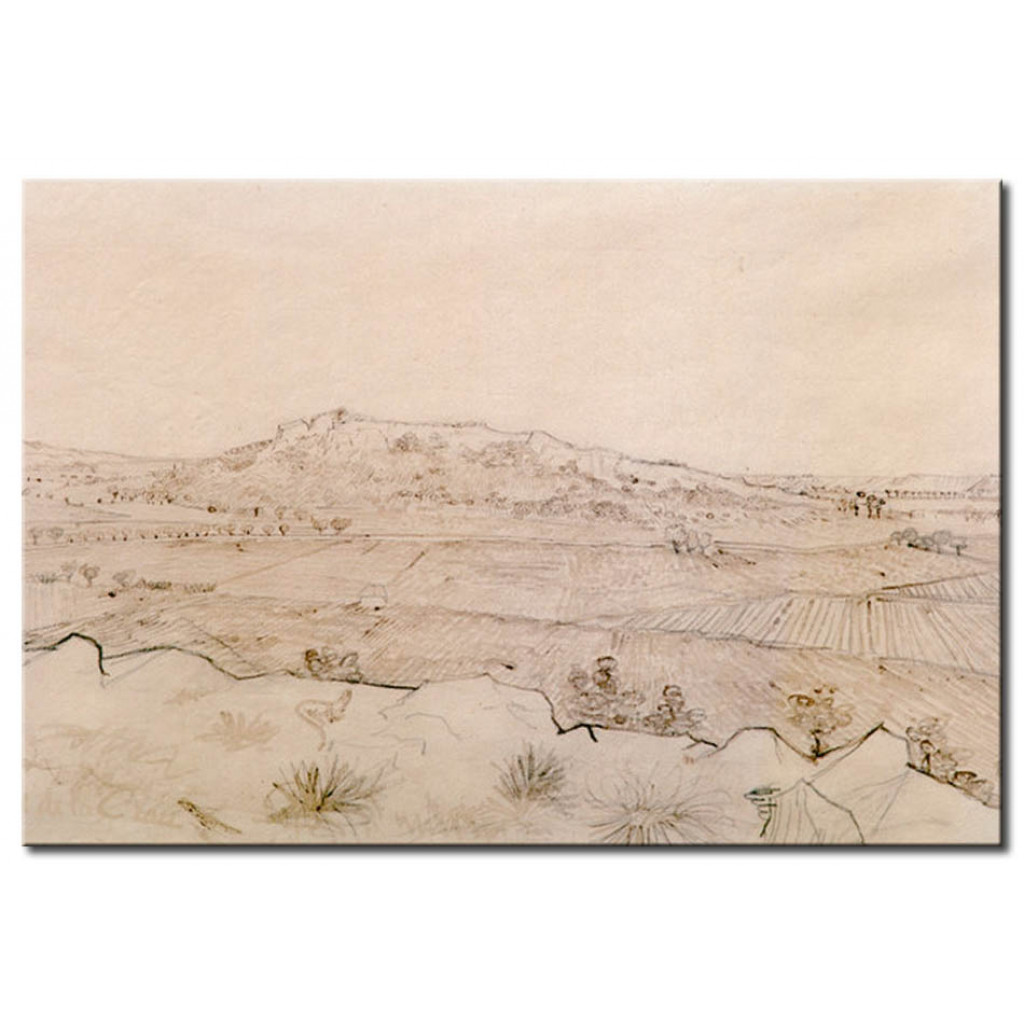 Schilderij  Vincent Van Gogh: The Plain Of La Crau