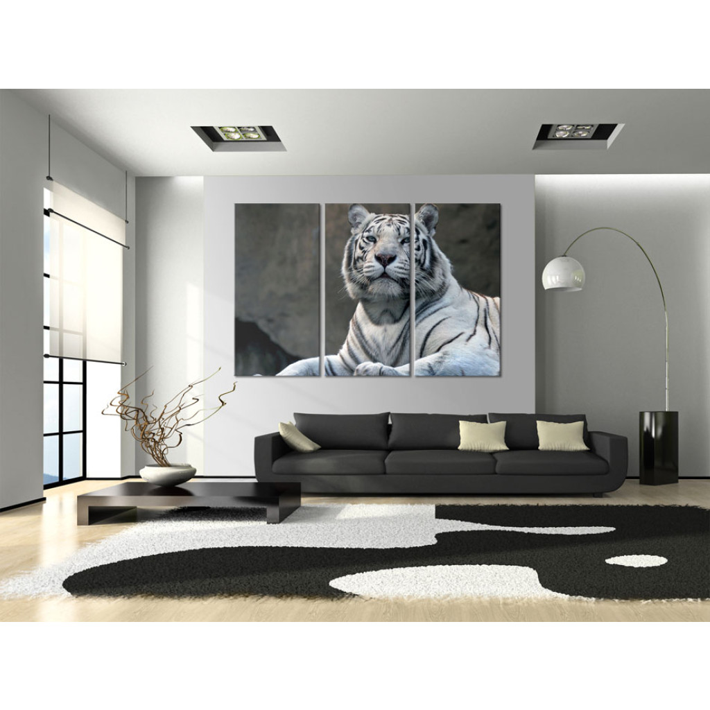 Tavla White Tiger