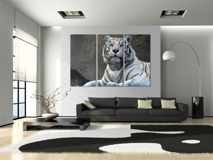 Obraz Biały tygrys  58600 additionalImage 3