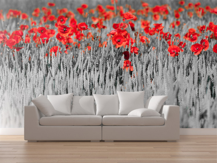 Wall Mural Red Poppies in Black and White Grain - Contrasting Abstraction of Flowers 60400