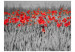 Wall Mural Red Poppies in Black and White Grain - Contrasting Abstraction of Flowers 60400 additionalThumb 1