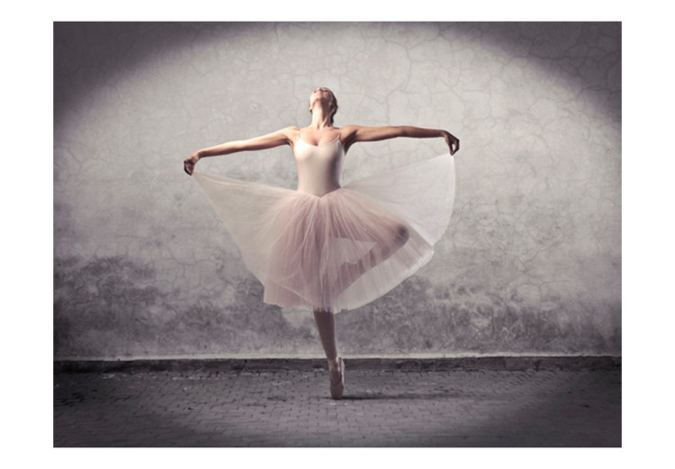 Fotomural decorativo Ballet, poesía sin palabras 61100 additionalImage 1