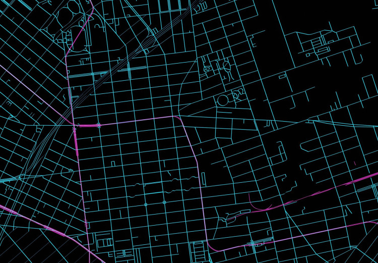 Carta da parati moderna Mappa di Manhattan - piano del quartiere di New York su uno sfondo nero 131610 additionalImage 4