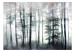 Wall Mural Misty Forest 137410 additionalThumb 1
