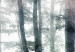Wall Mural Misty Forest 137410 additionalThumb 3