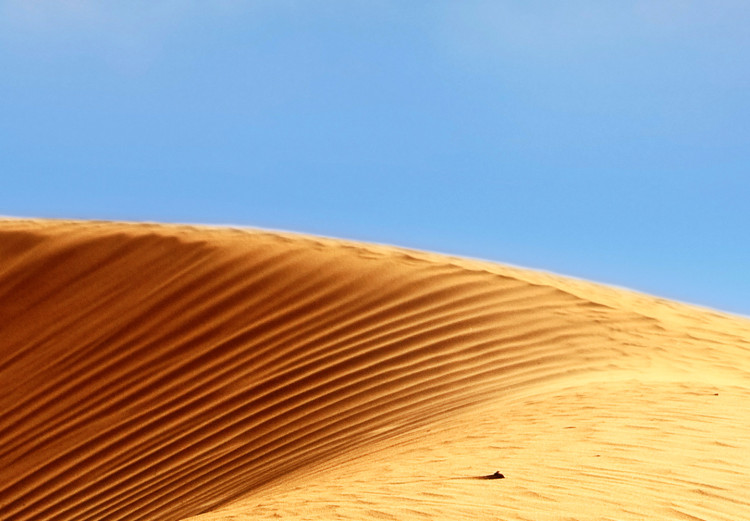 Carta da parati Desert - Undulating Dunes and Hot Sand Against a Blue Sky 146010 additionalImage 4