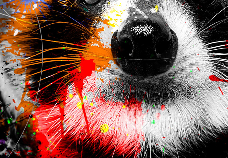 Quadro rotondo Raccoon - Friendly Animal in Juicy Colors on a Black Background 148610 additionalImage 3
