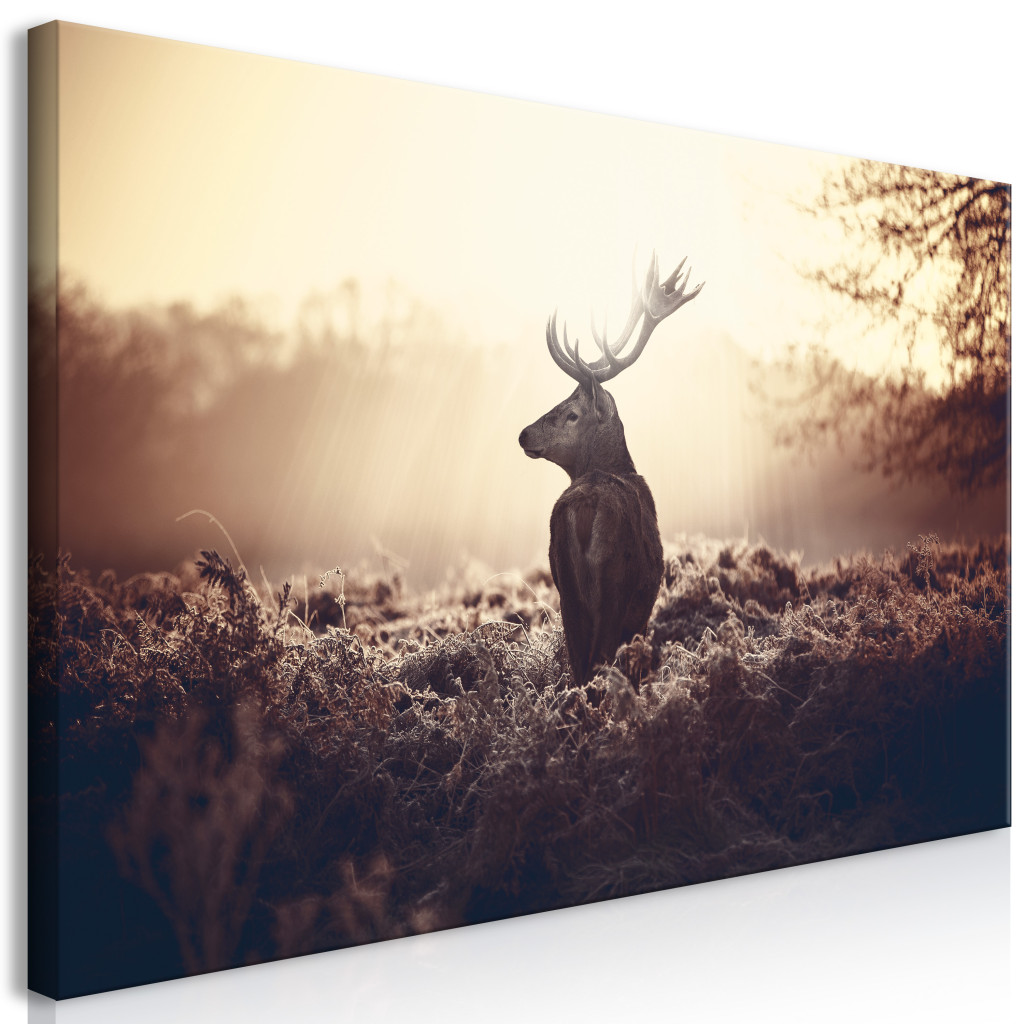 Stag In The Wilderness II [Large Format]