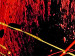 Bild auf Leinwand Chaos mit Rot und Gold (4-teilig) - blaue Abstraktion 46610 additionalThumb 4