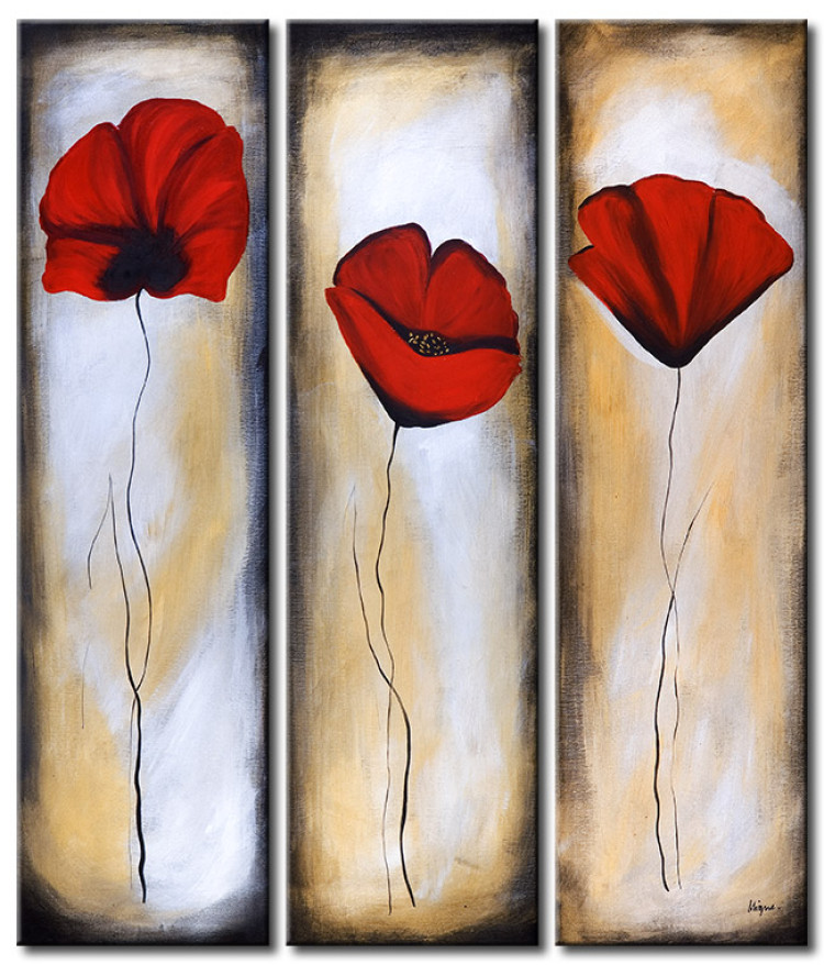 Toile déco Trio de coquelicots (3 pièces) - Motif végétal avec fleurs rouges 47210