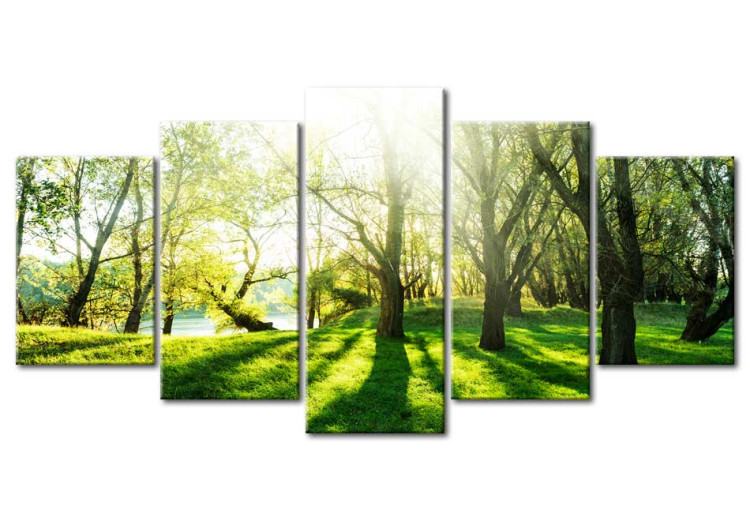 Tableau sur toile Green Glade