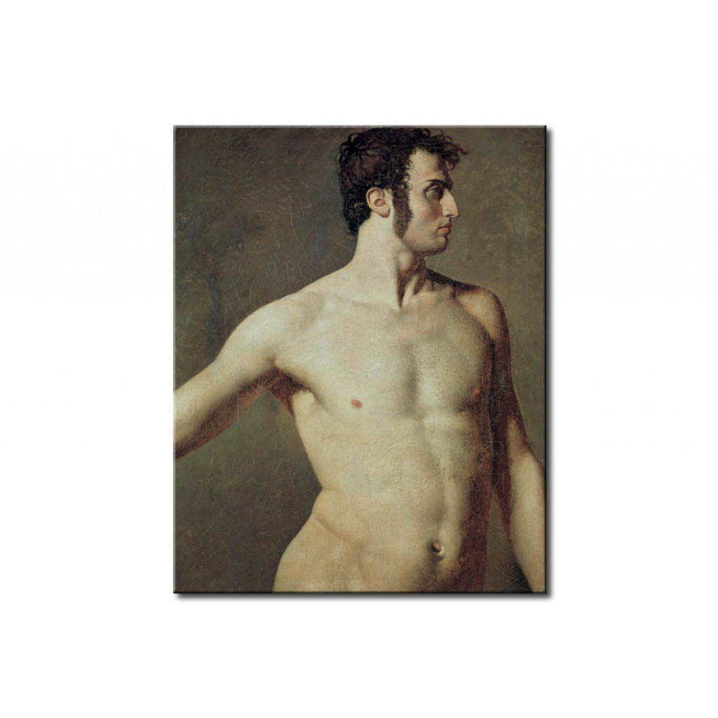 Schilderij  Jean-Auguste-Dominique Ingres: Torse D'homme