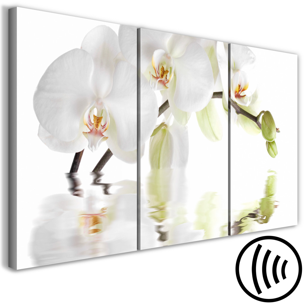 Pintura Em Tela Orquídea Aquática (3 Peças) - Ramo Floral Em Branco