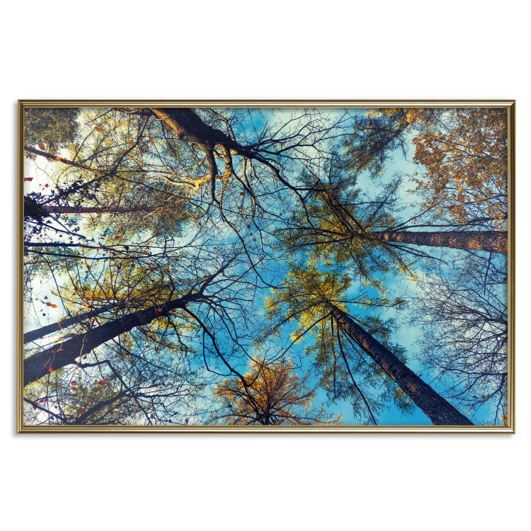 Poster da parete Autumn sky [Poster] Horizontal 132520 additionalImage 16