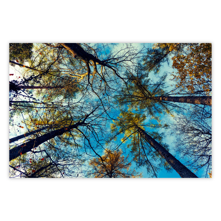 Poster da parete Autumn sky [Poster] Horizontal 132520