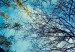 Poster da parete Autumn sky [Poster] Horizontal 132520 additionalThumb 11