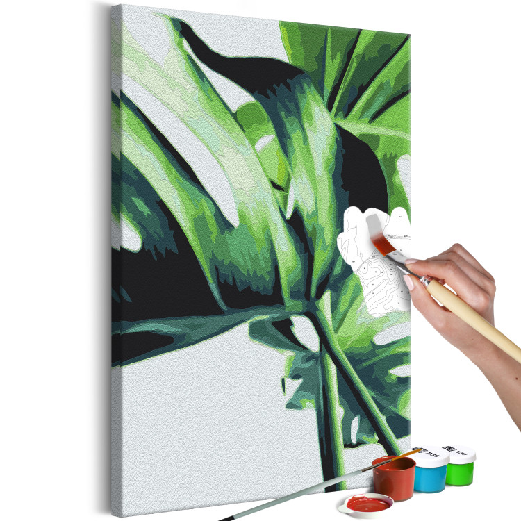 Paint by Number Kit Monstera Adansonii 134520 additionalImage 3