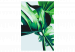 Paint by Number Kit Monstera Adansonii 134520 additionalThumb 7