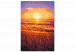 Obraz do malowania po numerach Letni wieczór - pomarańczowy zachód słońca na plaży pełne traw 144620 additionalThumb 5