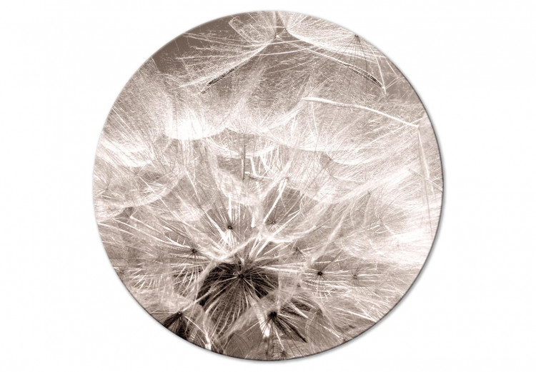 Quadro rotondo Delicate Fluff - Photo of a Dandelion in Sepia Colors 148620