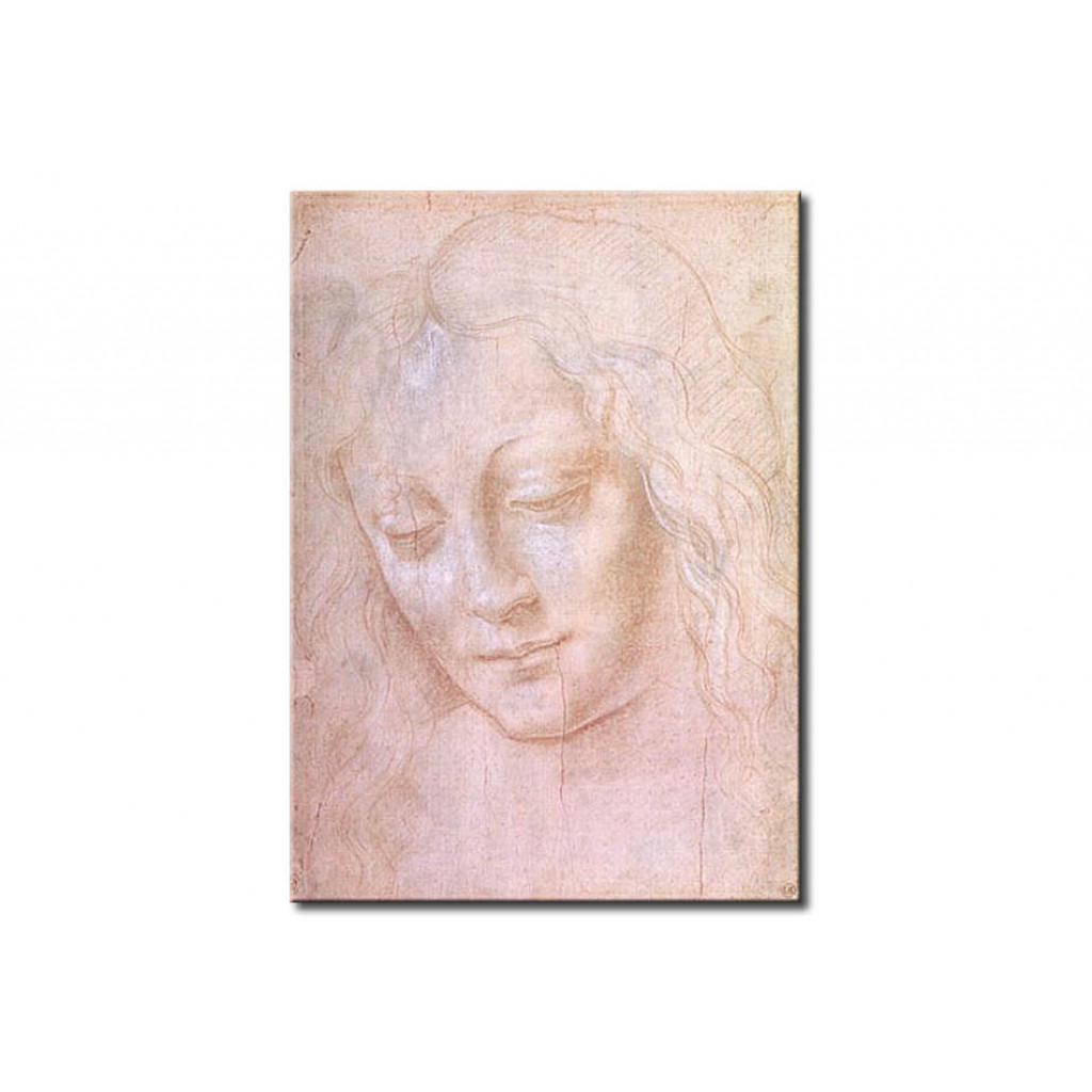 Schilderij  Leonardo Da Vinci: Head Of A Woman