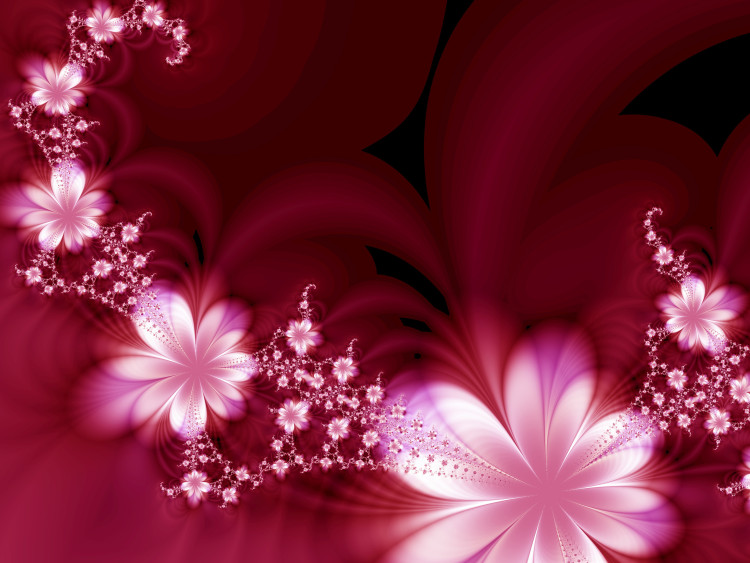 Fototapeta Kwietny sen - kompozycja kwiatów w jasnych kolorach na ciemnym tle 60720