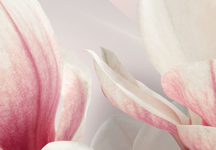 Bild auf Leinwand Magnolia in bloom 61820 additionalImage 5