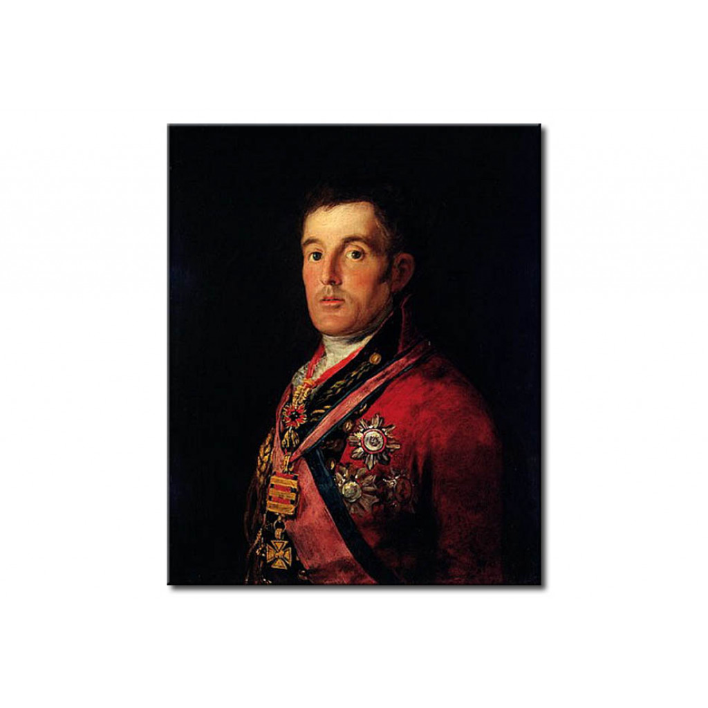 Schilderij  Francisco Goya: The Duke Of Wellington