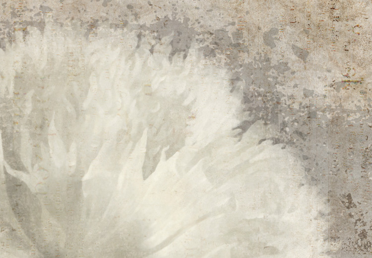 Obraz Martwa natura w stylu vintage - delikatne kwiaty na szarym tle 135930 additionalImage 5