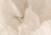 Carta da parati moderna Creamy Peony Petals - Delicate Flower Interior in Light Sepia 145330 additionalThumb 3