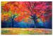 Canvas Art Print Colorful Park in Autumn - Painted Landscape, Alley in the Colors of September 145530