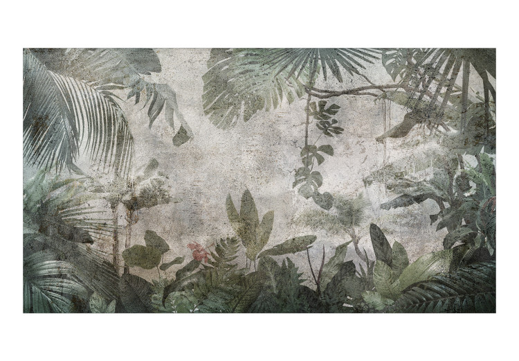 Carta da parati moderna Jungle - Rain Forest in Fog and Dark Green Vegetation 146430 additionalImage 1
