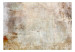 Wall Mural Wild Thought of Insanity - Abstract Background in a Modern Style 148430 additionalThumb 1