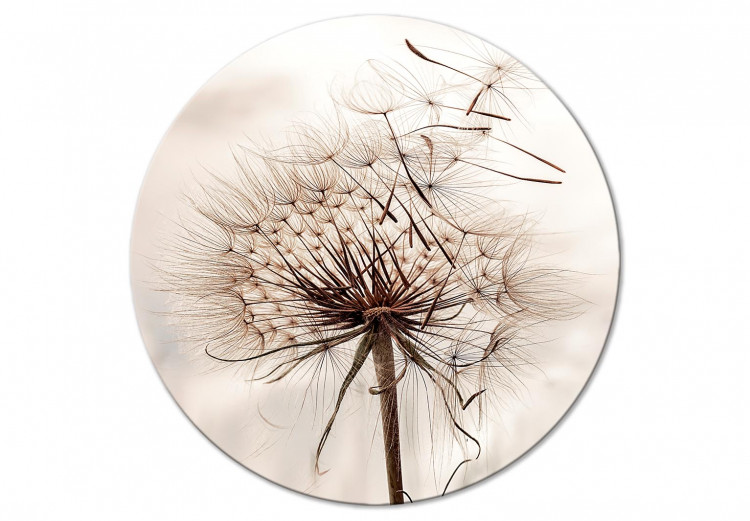 Rund tavla Dandelion - Scattered Creamy Grains Against the Background of the Morning Sky 148630