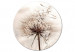 Tableau rond Dandelion - Scattered Creamy Grains Against the Background of the Morning Sky 148630