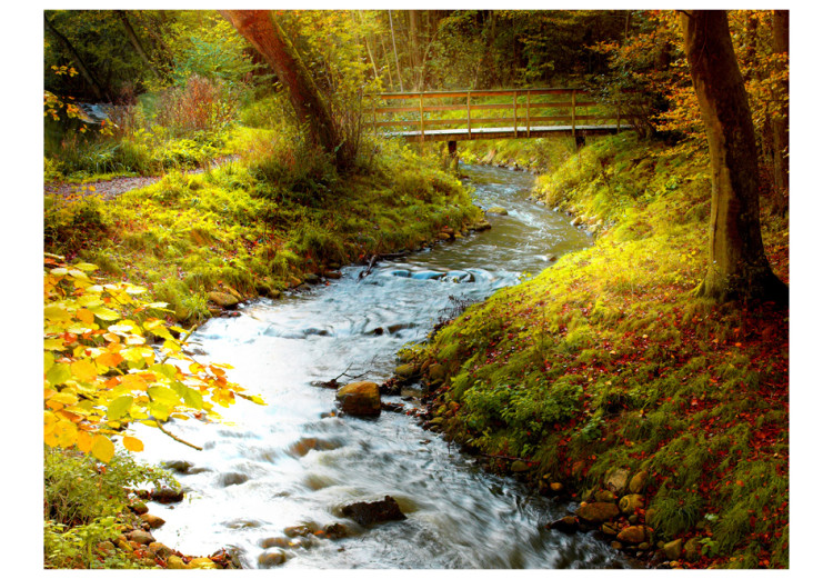 Fototapeta Pośród drzew - rzeka z wodospadem płynąca przez las z mostem w tle 59830 additionalImage 1